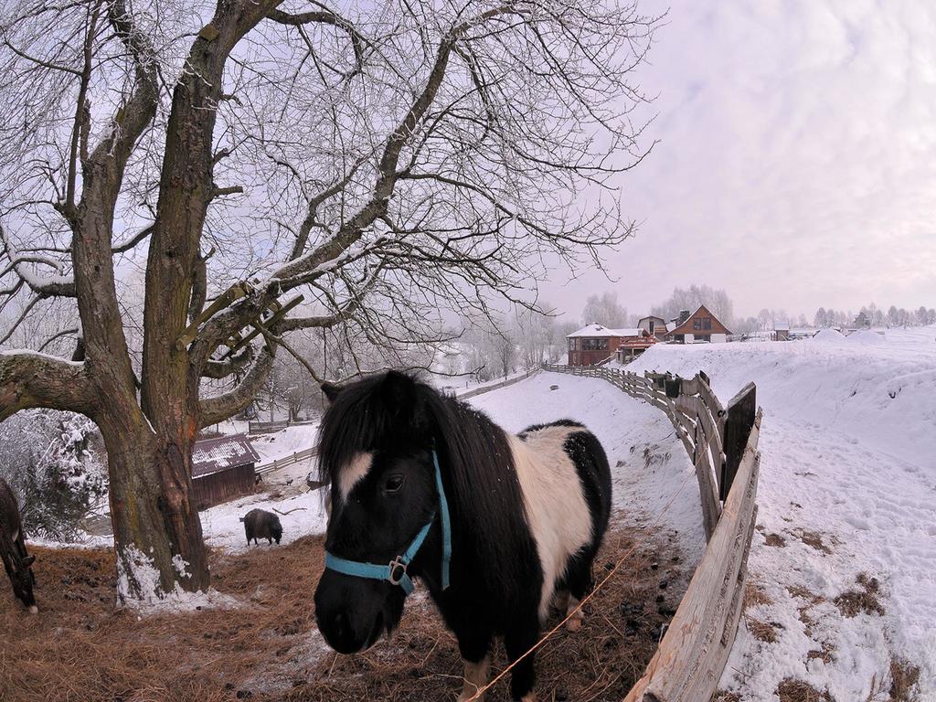 Vila Rancho Zapotoczny Łagów Exteriér fotografie
